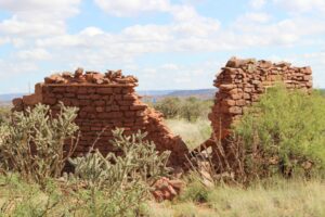 Widow Who Spoke to Walls: Folktale from India